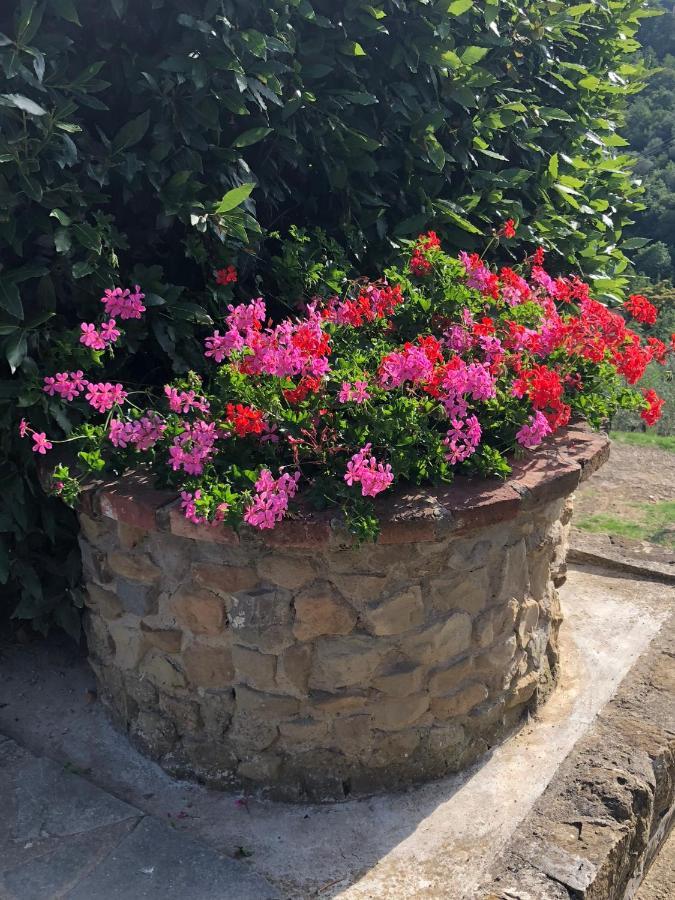 Agriturismo La Casella Castelfranco di Sopra ภายนอก รูปภาพ