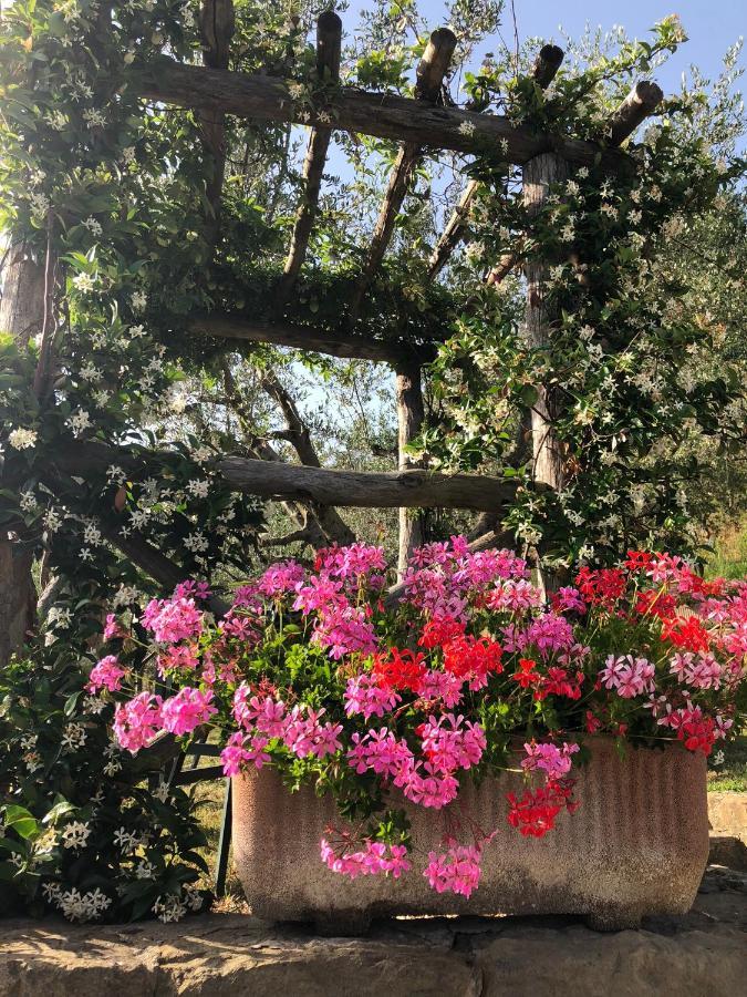 Agriturismo La Casella Castelfranco di Sopra ภายนอก รูปภาพ